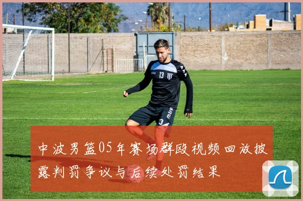 中波男篮05年赛场群殴视频回放披露判罚争议与后续处罚结果