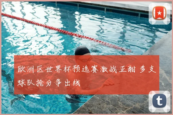 欧洲区世界杯预选赛激战正酣 多支球队抢分争出线