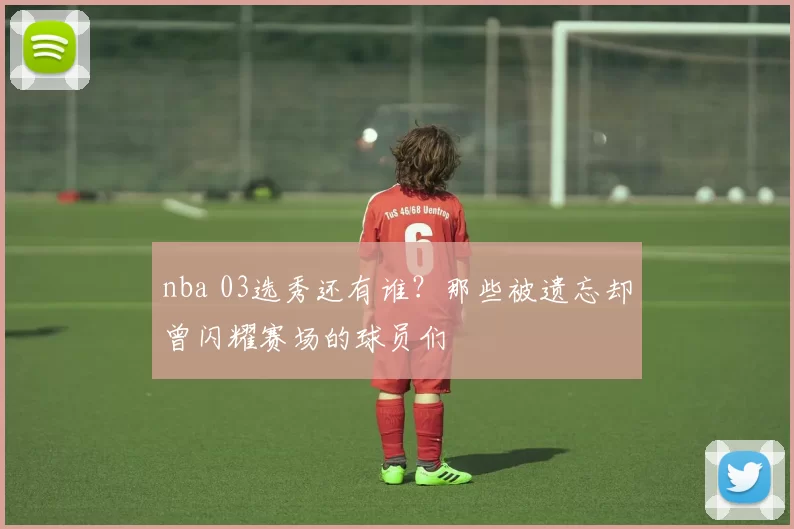 nba 03选秀还有谁？那些被遗忘却曾闪耀赛场的球员们