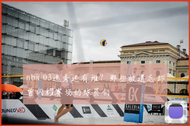 nba 03选秀还有谁？那些被遗忘却曾闪耀赛场的球员们