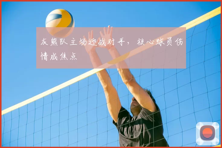 灰熊队主场迎战对手,核心球员伤情成焦点